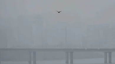 초미세먼지 악화에 올 첫 비상저감조치 시행...공공기관 차량 2부제·공사장 관리 강화