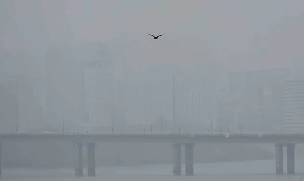 초미세먼지 악화에 올 첫 비상저감조치 시행...공공기관 차량 2부제·공사장 관리 강화