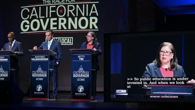 10 candidates are running for California governor