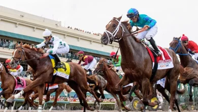 2026 Florida Derby picks, odds: Horse racing writer has best bet for Saturday's Kentucky Derby prep race