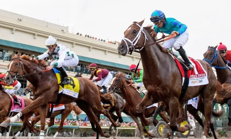 2026 Florida Derby picks, odds: Horse racing writer has best bet for Saturday's Kentucky Derby prep race