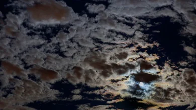 2/28/26: Evening Overcast and 55°F, Daytime High Reached 75°F