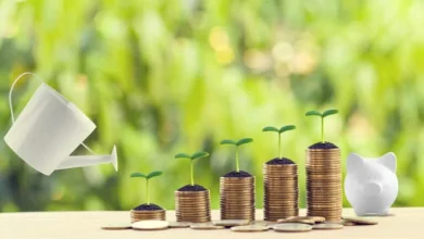 3 Canadian Dividend Stocks for Passive Income That Keeps Growing