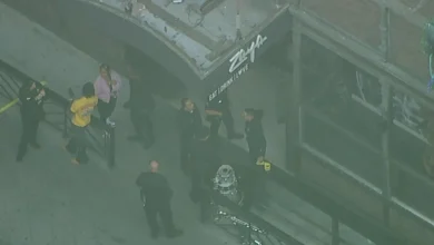 4 people stabbed during fight at downtown LA restaurant Zaya, police say; 2 suspects in custody