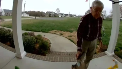 78-year-old DoorDash driver gets massive tip from thousands of strangers after viral doorbell video