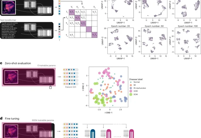 A generalizable deep learning system for cardiac MRI