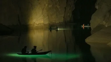 A man stumbled on Vietnam's Son Doong, the world's largest cave passage. It took him years to find it again.