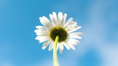 A warm, sunny weekend before a return to cooler weather and even a chance of snow