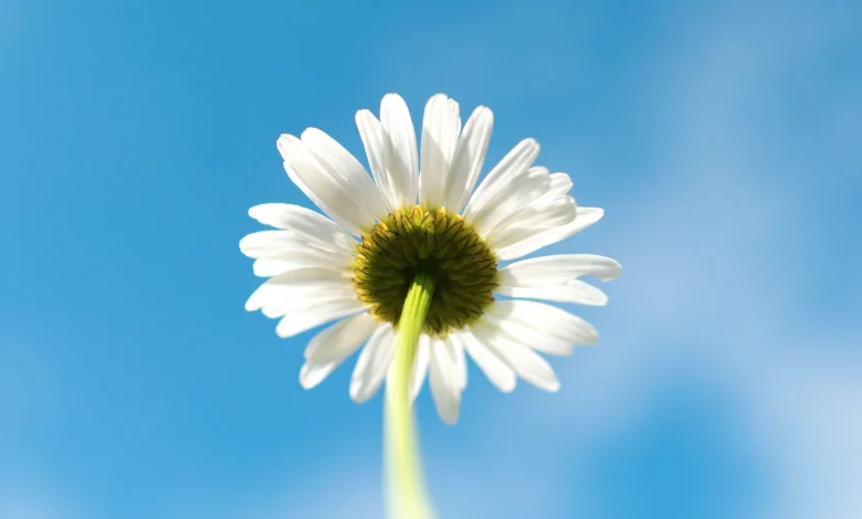 A warm, sunny weekend before a return to cooler weather and even a chance of snow