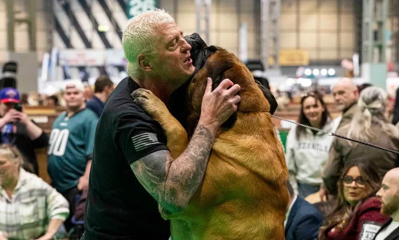 AEW star Dustin Rhodes' mastiff takes home prize at world's largest dog show