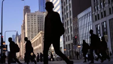 AI Could Cull the Ranks of Consulting Generalists in the Coming Years