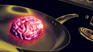 AI Use at Work Is Causing "Brain Fry," Researchers Find, Especially Among High Performers