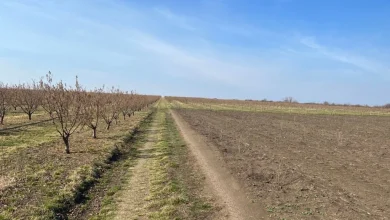 ANM: Vreme caldă și precipitații puține până la finalul lunii