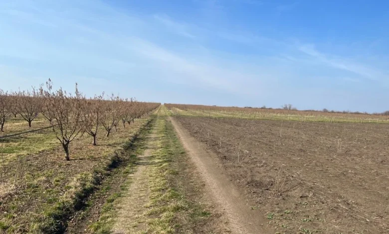 ANM: Vreme caldă și precipitații puține până la finalul lunii