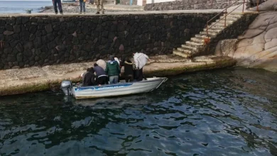 Alicudi, sbarcati all’alba 19 migranti. Il video