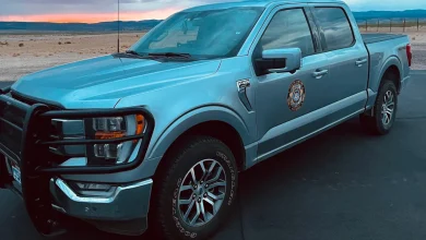 All Wayne County residents advised to lock doors, stay indoors after suspicious deaths