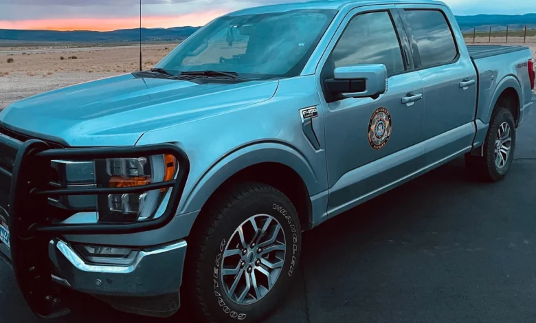 All Wayne County residents advised to lock doors, stay indoors after suspicious deaths