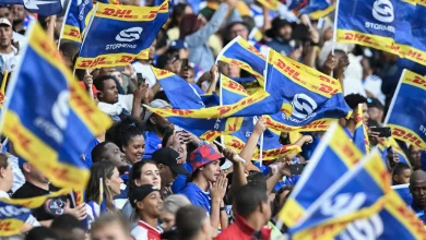All you need to know: DHL Stormers v Dragons RFC