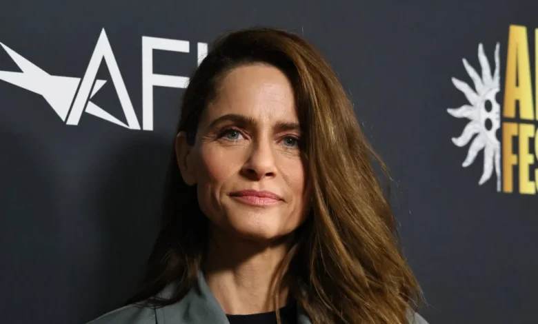 Amanda Peet Reveals Breast Cancer Diagnosis