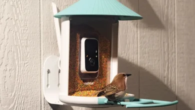 Amazon’s Big Spring Sale is a great time to get a fancy, AI-powered bird feeder