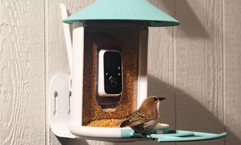 Amazon’s Big Spring Sale is a great time to get a fancy, AI-powered bird feeder