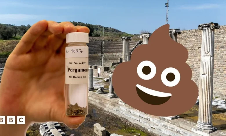 'Amused and delighted' experts continue study of Ancient Roman poo