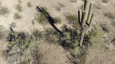 An Arizona community just broke the March national temperature record