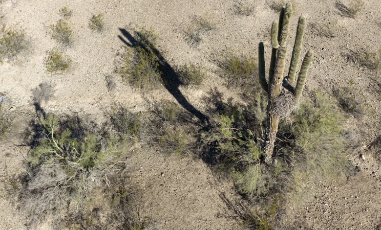 An Arizona community just broke the March national temperature record