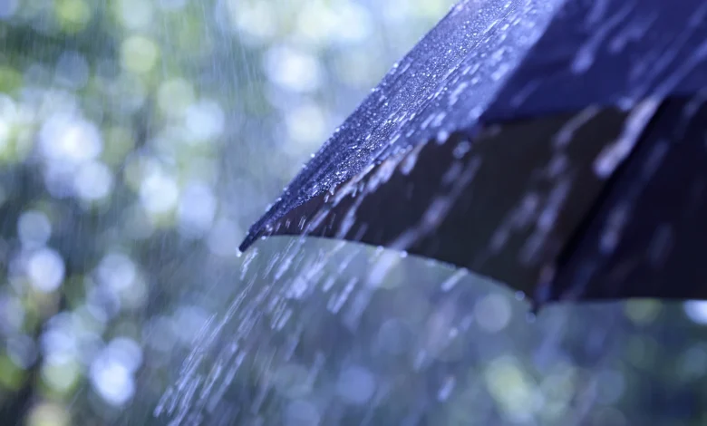 An early look at the winter statistics: just how wet has it been?