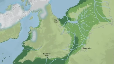 Archaeologists find ancient evidence of “Lost World” beneath the North Sea