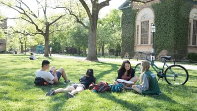 Are Ivy League Schools Overrated?