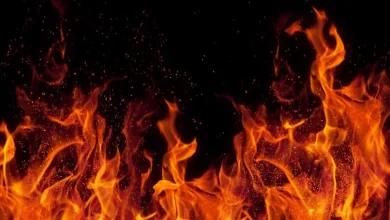 Are red-hot BAE Systems and Babcock shares simply unstoppable now?