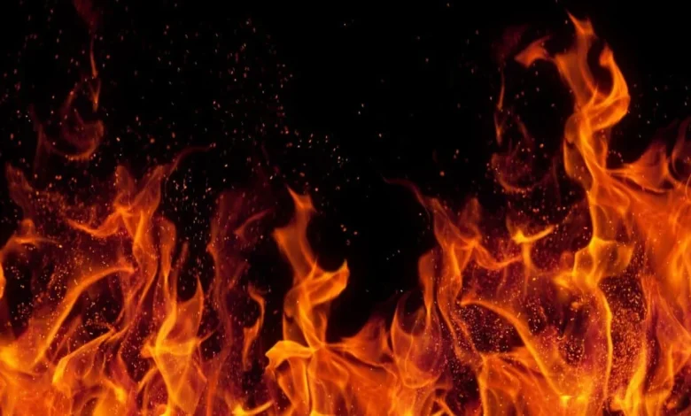 Are red-hot BAE Systems and Babcock shares simply unstoppable now?