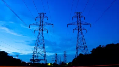 Armenia, Georgia Forge Power Grid Connection