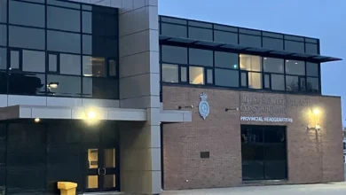 Arrest Made After Property Damaged in Metro Last Night