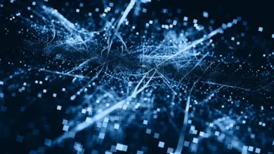 Artificial Intelligence, Real Legal Risks: What Every Brand Needs to Know