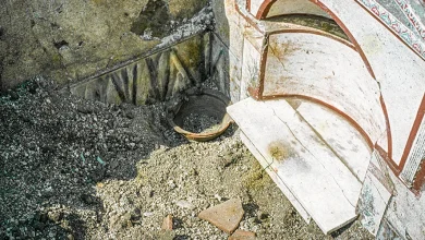 Ashes from Pompeii: incense burners, residue analyses and domestic cult practices | Antiquity