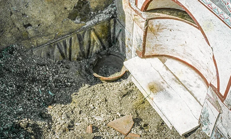 Ashes from Pompeii: incense burners, residue analyses and domestic cult practices | Antiquity