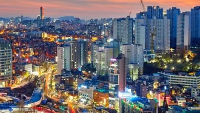 Asian Markets in Free Fall as Oil Price Surge Stokes Inflation Fears