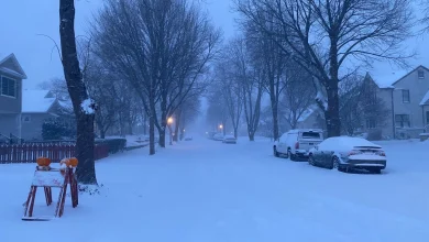 Authorities advise no travel across southern Minnesota as blizzard warnings continue - MPR News