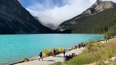 Banff backcountry paddling off-limits after whirling disease detected in Lake Louise