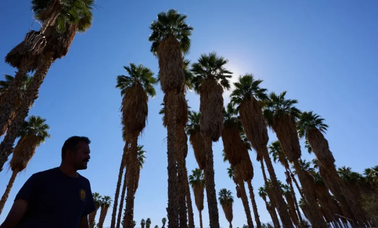 'Basically the Entire US Is Going to Be Hot'