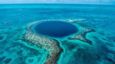 Belize Makes Its Pitch as the Caribbean’s Next Sustainability Leader