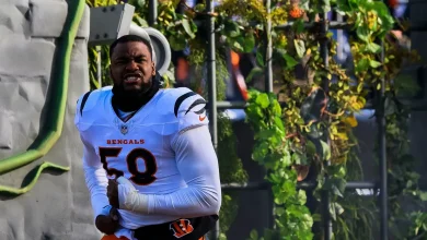 Bengals DE Joseph Ossai's rankings, contract projection show value