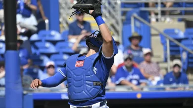 Better Know Your Blue Jays 40-Man: Brandon Valenzuela