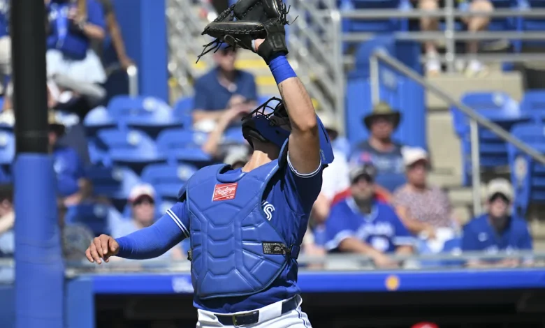 Better Know Your Blue Jays 40-Man: Brandon Valenzuela