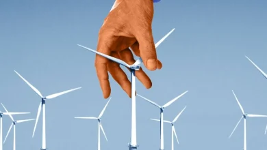 Big Questions About Trump’s $1 Billion Wind Deal With Total