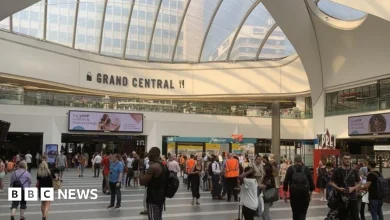 Birmingham New Street set for crowd control during Cheltenham