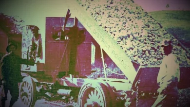 Bitcoin OGs dump over $100 million in BTC after hawkish Fed dents rate cut hopes