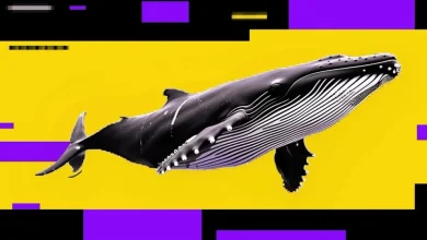 Bitcoin dip may not be over as whales sell into retail buying — a bearish signal